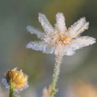 /album/frida-dumont-photographies/frida-dumont-img-9718-jpg/